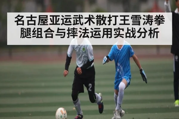 名古屋亚运武术散打王雪涛拳腿组合与摔法运用实战分析